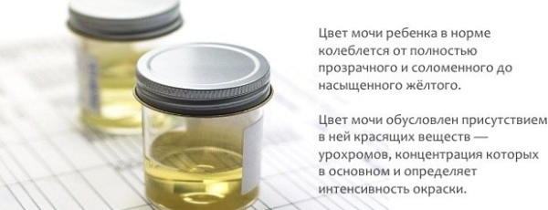 Розовая моча у ребенка 2-3-4-5 лет. Причины
