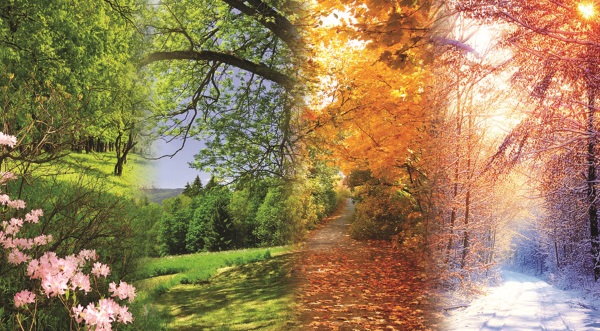 Самые красивые имена для девочек: редкие и необычные, православные и мусульманские, современные русские