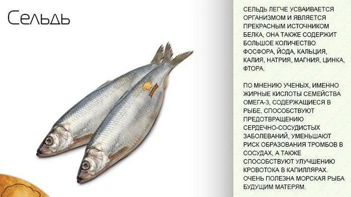 Селедка при ГВ. Можно ли соленую рыбу при грудном вскармливании?