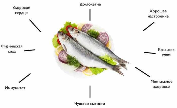 Селедка при ГВ. Можно ли соленую рыбу при грудном вскармливании?