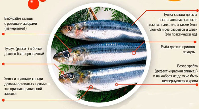 Селедка при ГВ. Можно ли соленую рыбу при грудном вскармливании?