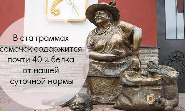 Семечки кормящей маме при грудном вскармливании можно ли?