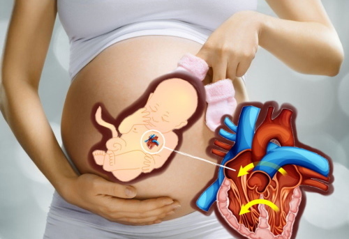 Сердцебиение плода по неделям. Нормы у мальчиков, девочек, на какой неделе слышно