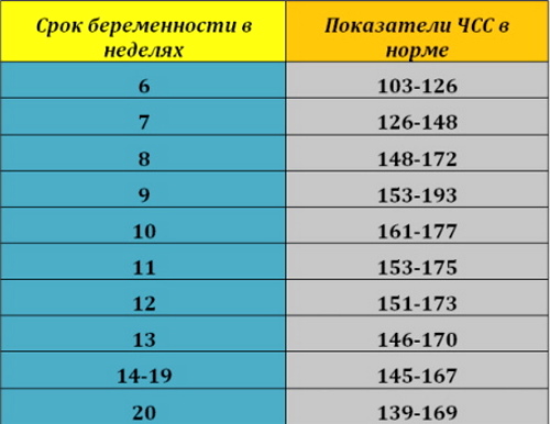 Сердцебиение плода по неделям. Нормы у мальчиков, девочек, на какой неделе слышно