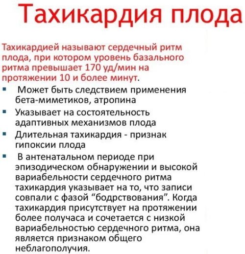 Сердцебиение плода по неделям. Нормы у мальчиков, девочек, на какой неделе слышно