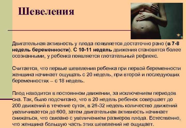 Шевеление плода при беременности. Когда начинается, нормы по неделям, как распознать, правильно считать, ощущения