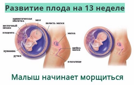 Шевеление плода при беременности. Когда начинается, нормы по неделям, как распознать, правильно считать, ощущения