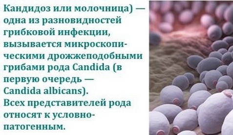 Силиконовые накладки на грудь для кормления. Цены, как выбрать, пользоваться, размеры