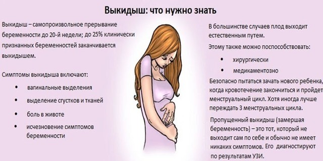 Деформированное плодное яйцо: как выглядит на УЗИ, что значит