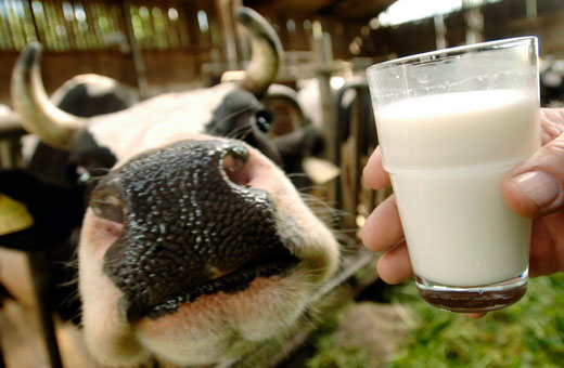 Смешанное питание новорожденного 1-2-3 месяца. Как кормить, плюсы и минусы, рецепты