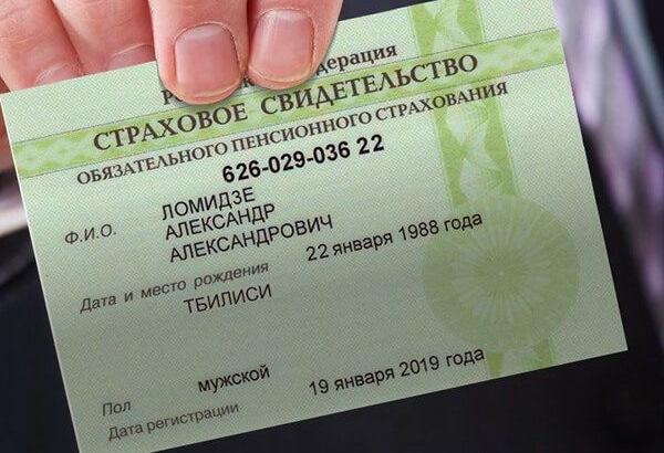 Снилс. Что это за документ, фото, как выглядит, как получить, восстановить, проверить онлайн