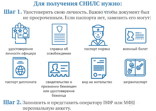 Снилс. Что это за документ, фото, как выглядит, как получить, восстановить, проверить онлайн
