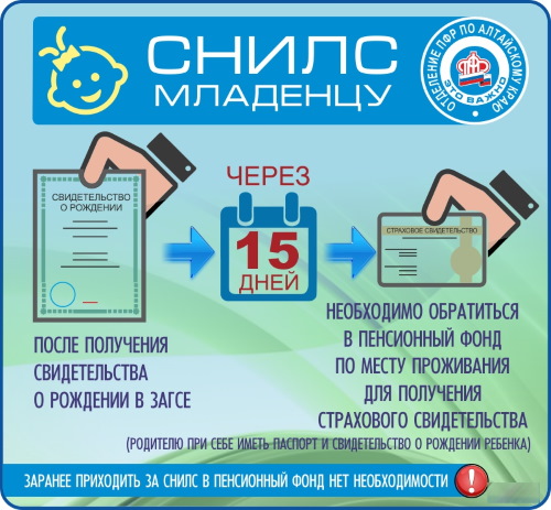 Снилс. Что это за документ, фото, как выглядит, как получить, восстановить, проверить онлайн