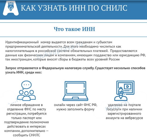 Снилс. Что это за документ, фото, как выглядит, как получить, восстановить, проверить онлайн