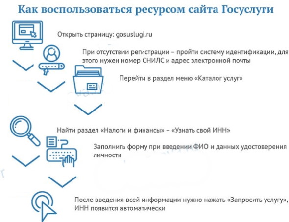 Снилс. Что это за документ, фото, как выглядит, как получить, восстановить, проверить онлайн