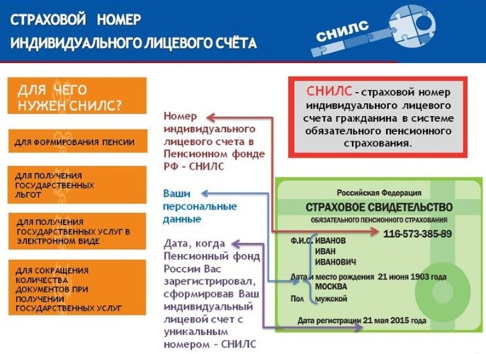 СНИЛС на ребенка. Как получить документы, зачем нужен, где оформить, как узнать номер, что делать, если потеряли