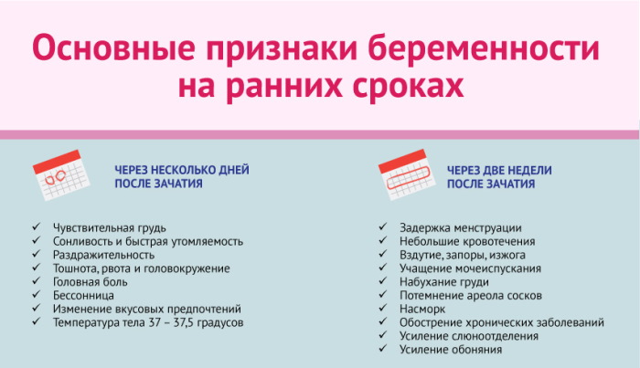 Сонливость при беременности на ранних сроках. Почему хочется спать