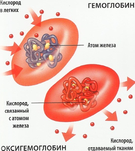 Спелеокамера. Показания для детей, женщин при беременности, противопоказания, отзывы врачей