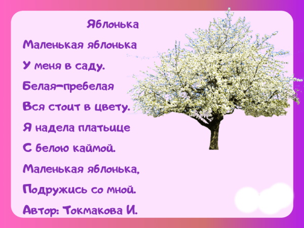 Стихи про природу 4-5 класс для детей