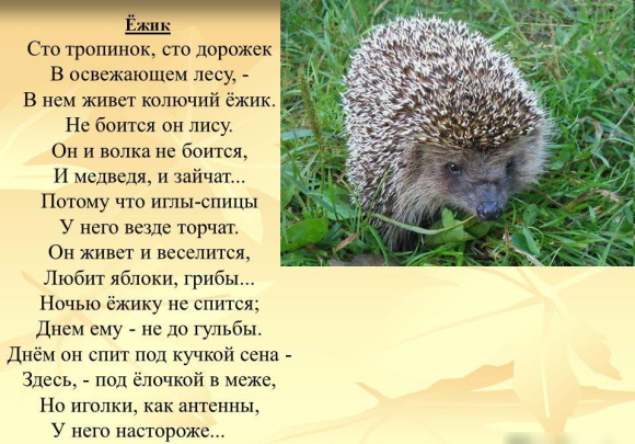 Стихи про природу 4-5 класс для детей