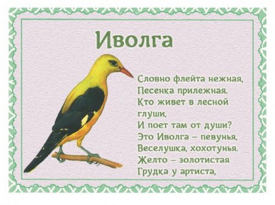 Стихи про природу 4-5 класс для детей