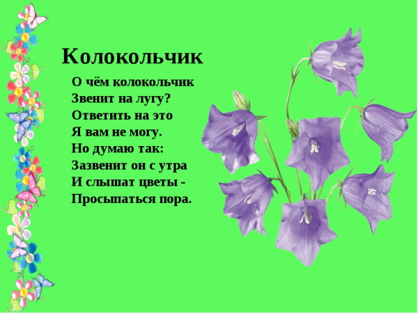 Стихи про природу 4-5 класс для детей