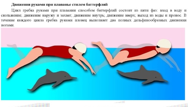 Стиль Брасс в плавании. Фото, техника выполнения детям