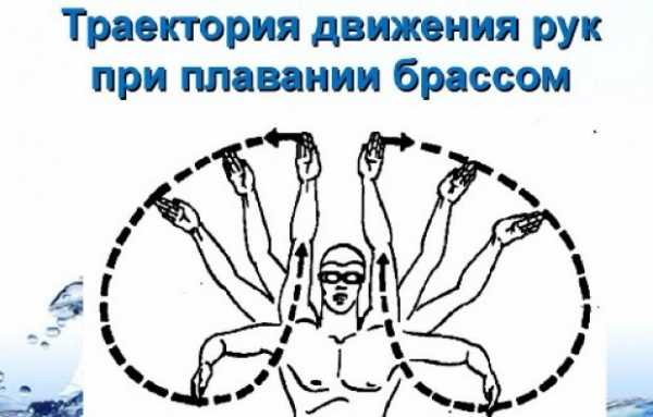 Стиль Брасс в плавании. Фото, техника выполнения детям