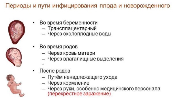 Стрептококк в мазке у женщин при беременности. Причины, симптомы, норма в анализе, лечение инфекции кожи