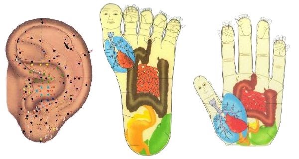 Су-Джок терапия. Что это такое в логопедической работе для детей дошкольного возраста