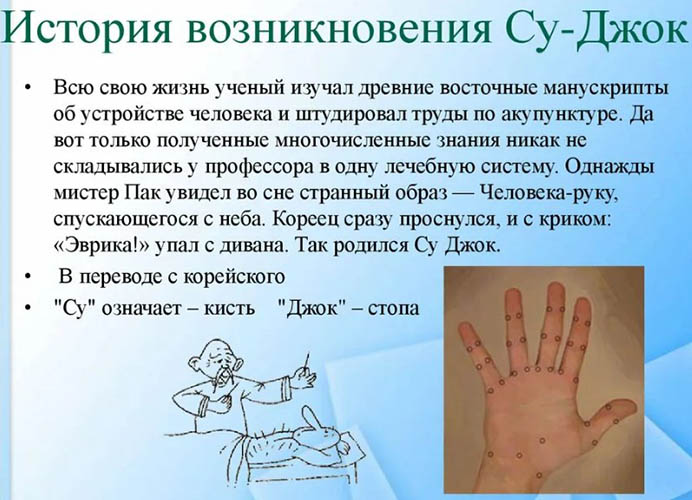 Су-Джок терапия. Что это такое в логопедической работе для детей дошкольного возраста