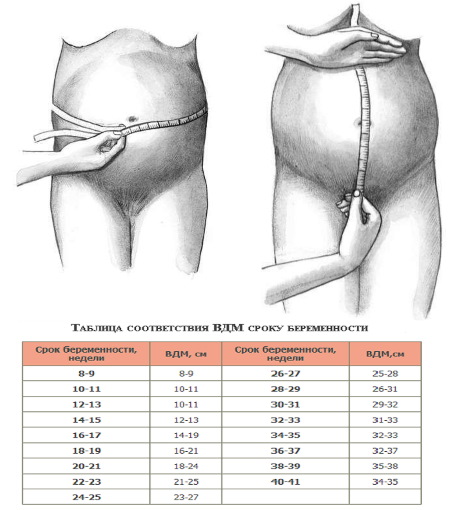 ВДМ при беременности по неделям. Таблица, что это такое, расшифровка, норма