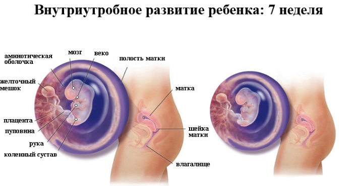 Таблетки для прерывания ранней беременности без рецептов в аптеке: названия, список