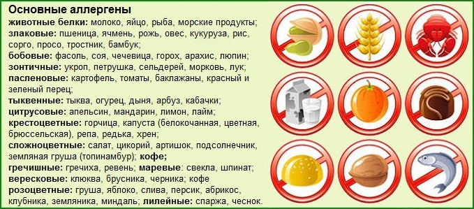 Прикорм по месяцам при грудном вскармливании: таблица продуктов ВОЗ, когда и что давать, количество, первый прикорм и до года