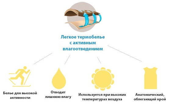 Термобелье из шерсти мериноса для детей. Отзывы, как выбрать, рейтинг