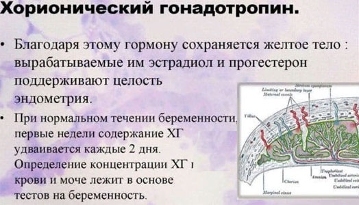 Тесты на беременность. Как пользоваться: электронный, струйный, цифровой, экспресс. Положительный, отрицательный результат, достоверность