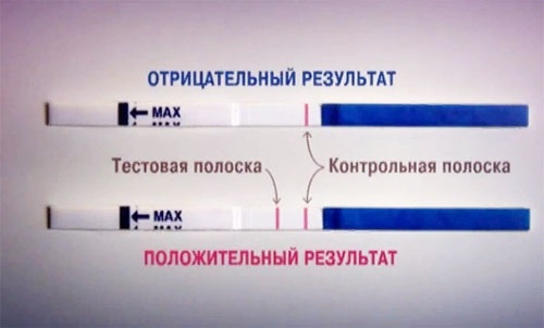 Тесты на беременность. Как пользоваться: электронный, струйный, цифровой, экспресс. Положительный, отрицательный результат, достоверность