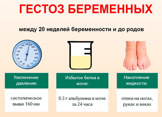 Тошнит от сладкого при беременности на ранних, поздних сроках. Причины