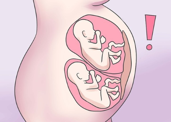 Тотема при беременности. Инструкция, как принимать, отзывы врачей, влияние на ребенка, аналоги