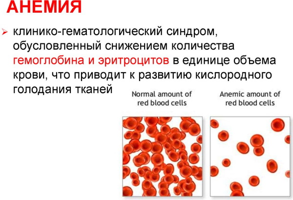 Тотема при беременности. Инструкция, как принимать, отзывы врачей, влияние на ребенка, аналоги