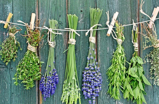 Травы для купания новорожденного успокаивающие для сна. Сборы, как заваривать