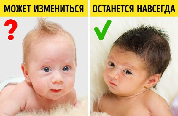 Цвет глаз ребенка по родителям. Таблица, как узнать