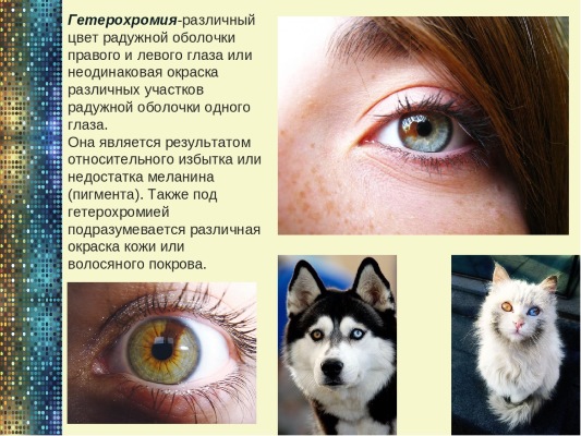 Цвет глаз у новорожденных. Когда меняется, формируется окончательно, возраст, какой бывает