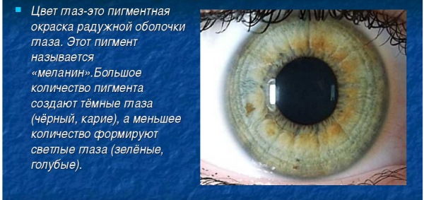 Цвет глаз у новорожденных. Когда меняется, формируется окончательно, возраст, какой бывает