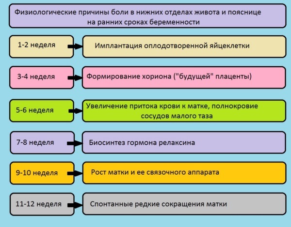 Тянет живот на ранних сроках беременности, до задержки, как при месячных. Что делать?