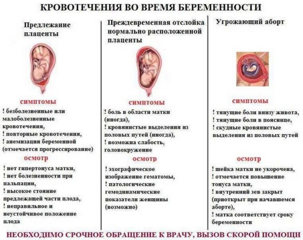 Тянет живот на ранних сроках беременности, до задержки, как при месячных. Что делать?