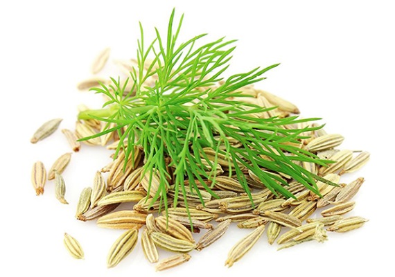 Укропная водичка для новорожденных. Инструкция по применению от коликов, запоров. Состав, рецепт. Как давать ребенку, вызывает ли аллергию