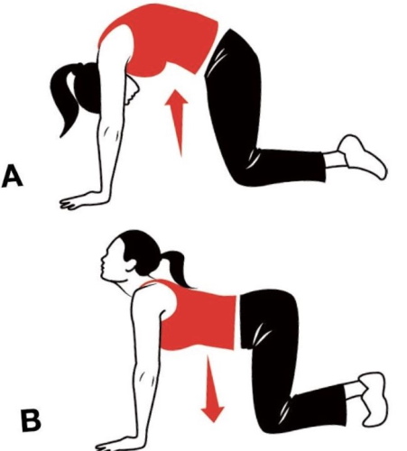 Упражнения на гибкость для школьников 2-6 класса. Названия с описанием