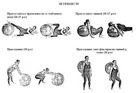 Упражнения с гимнастическим мячом для спины, похудения, при грыже позвоночника. Как выбрать диаметр, по размеру, росту