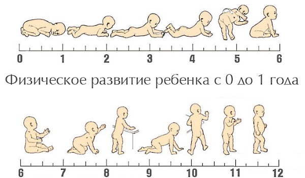 Вес ребенка по месяцам. Таблица для мальчиков, девочек по ВОЗ. Рекомендации по питанию